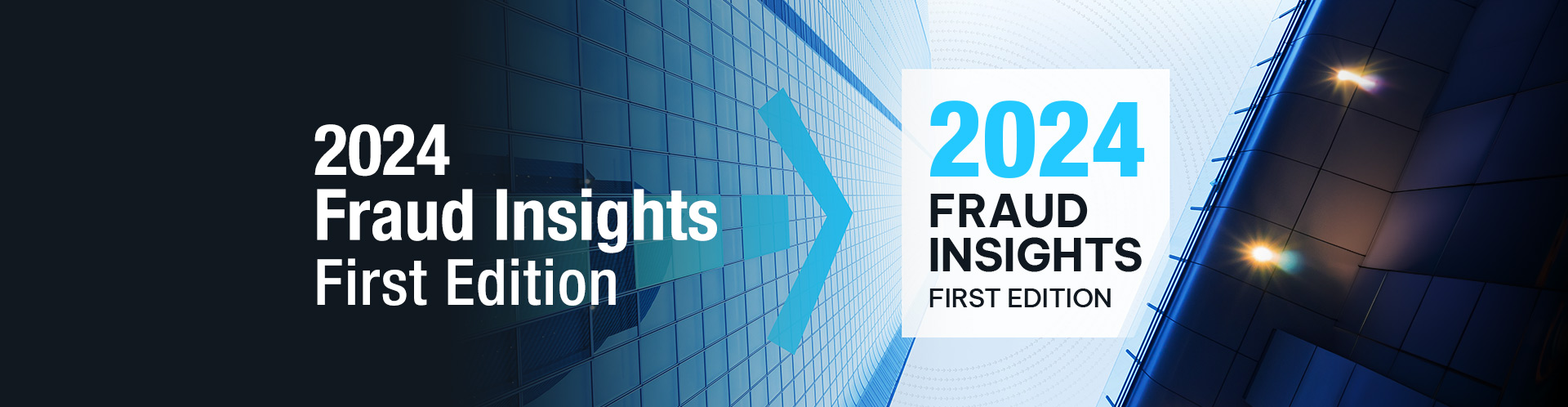 2024 Fraud Insights First Edition