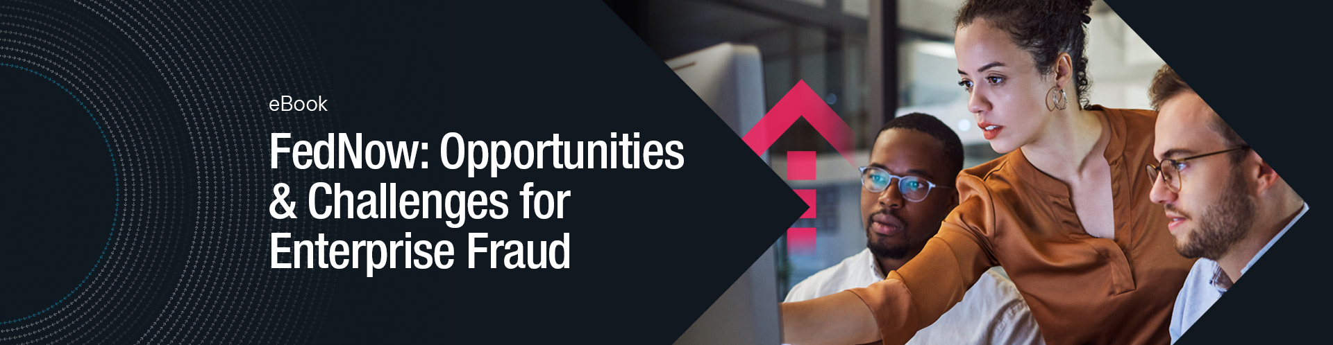 FedNow: Opportunities and Challenges for Enterprise Fraud